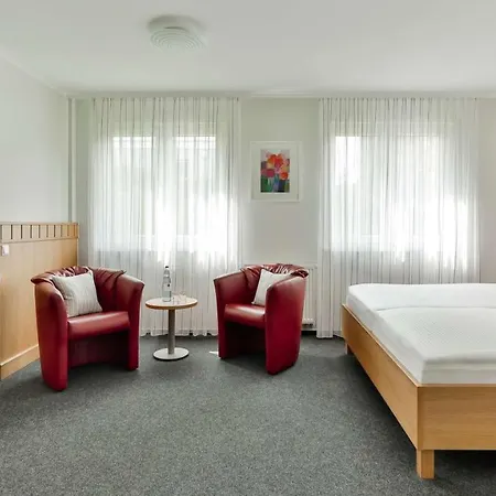 Dorint Parkhotel מלון זיגן