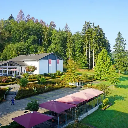 Dorint Parkhotel Hotel 4*