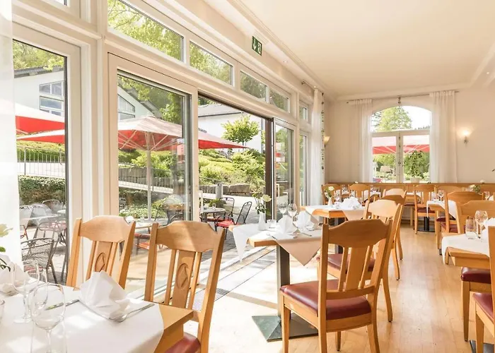 Ξενοδοχείο Dorint Parkhotel Ζίγκεν